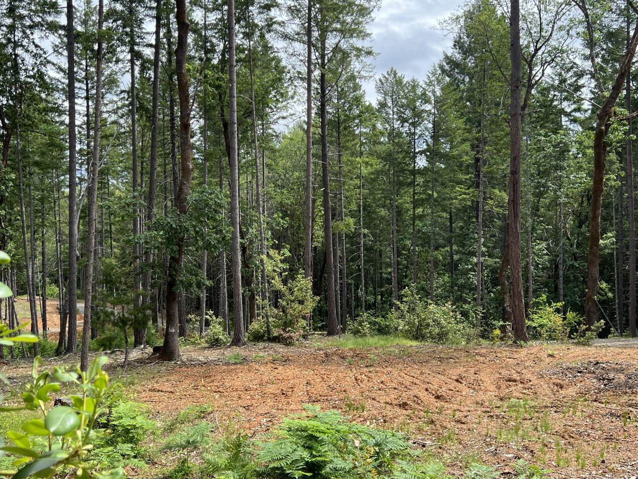 425 Bonnie Lane - Photo 1