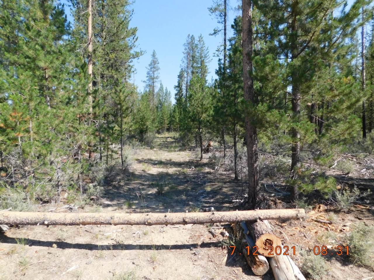 TL #06101 Michael Road - Photo 1