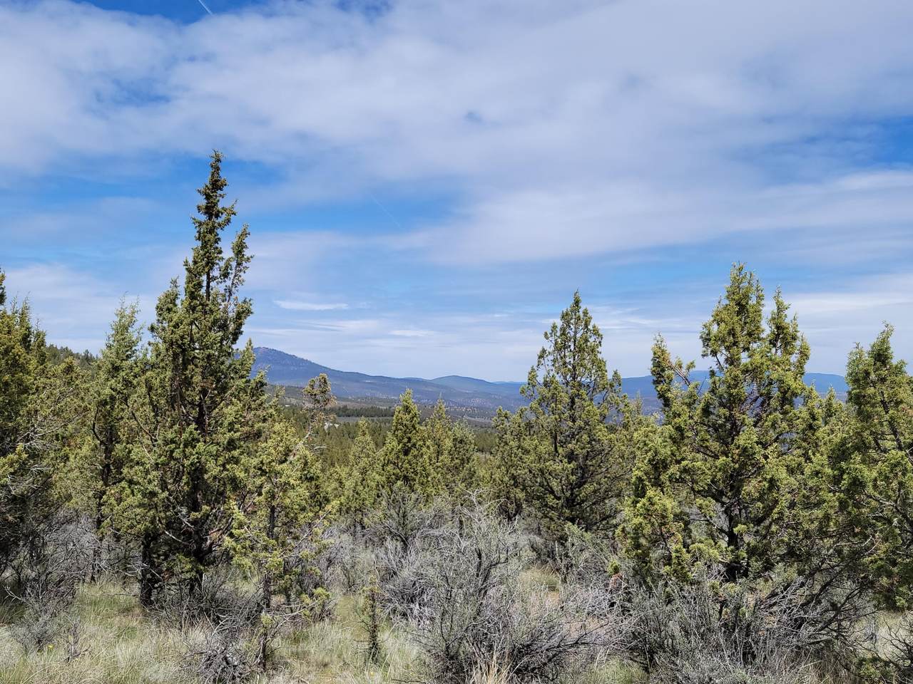 Lot 800 Osprey Road - Photo 1