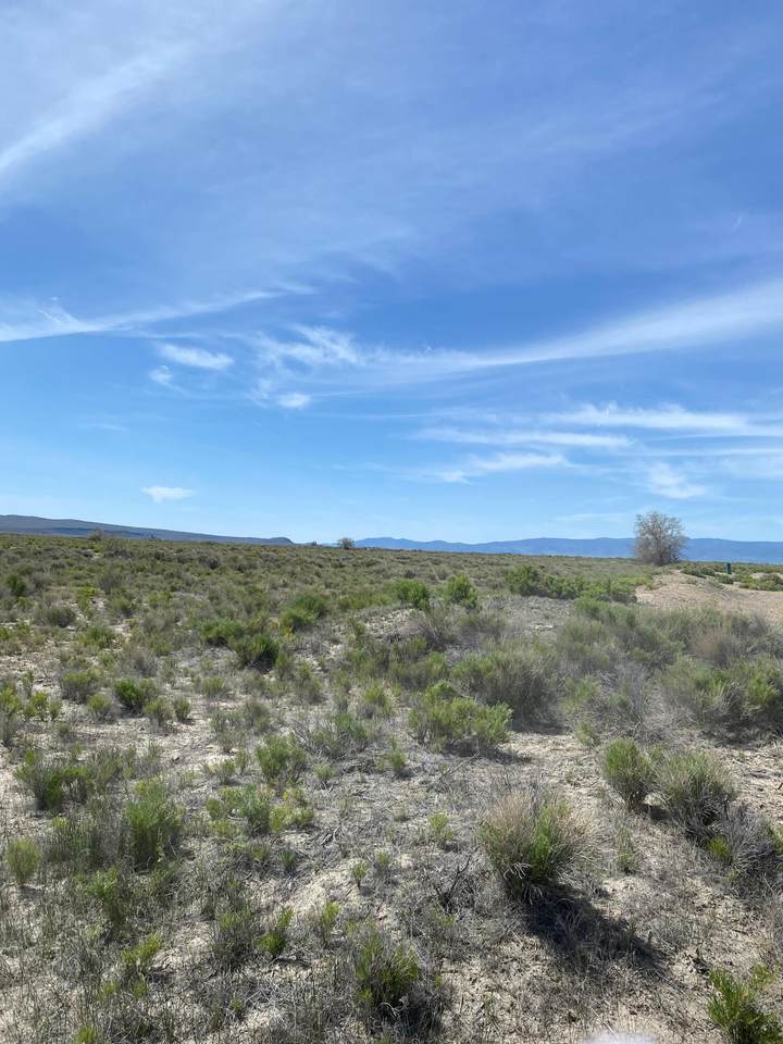 Lot 106 Thousand Springs Lane - Photo 1