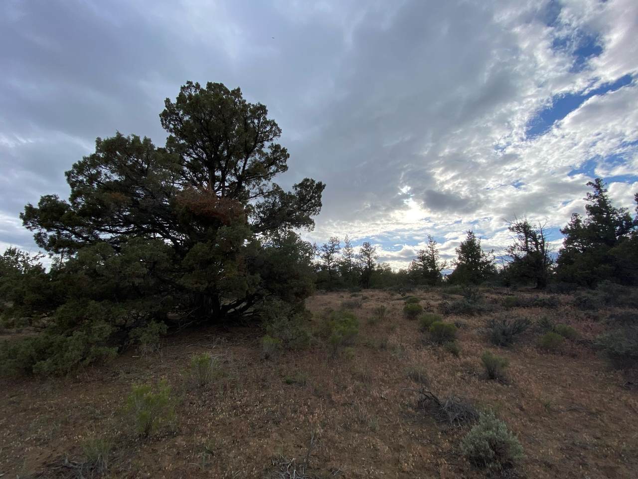 62324 Byram Road - Photo 1