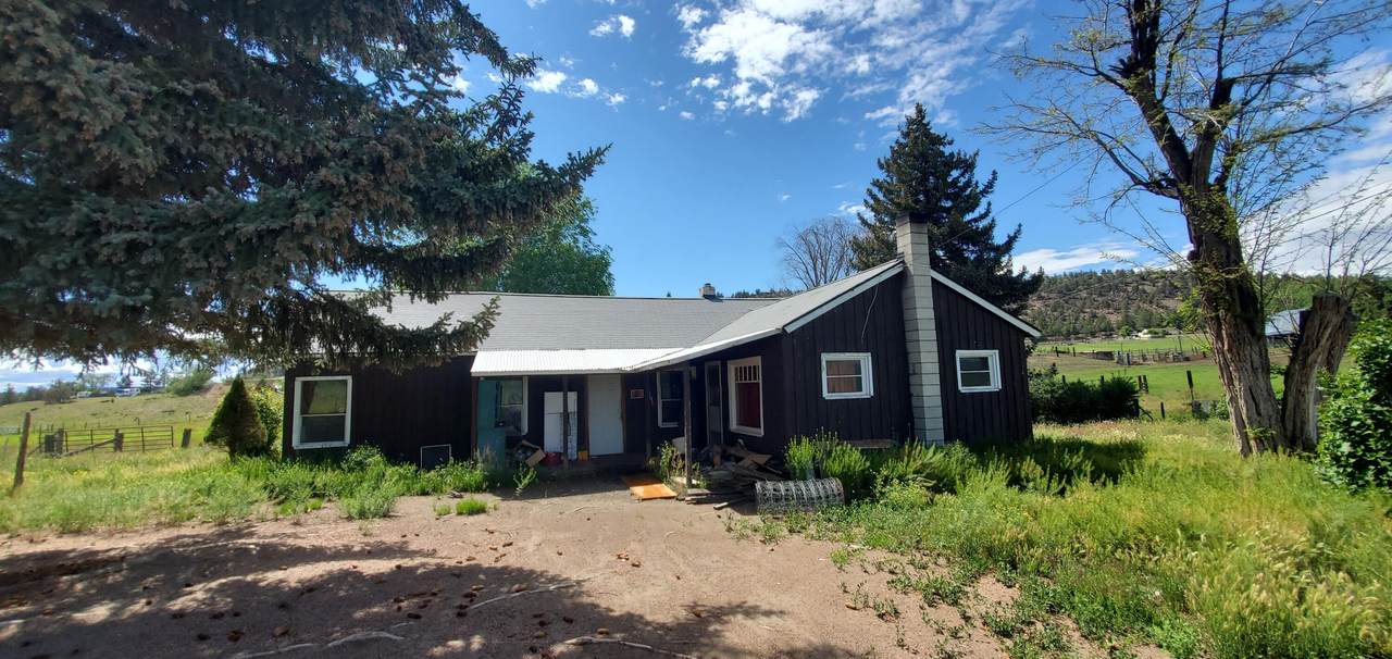 811 Coles Road - Photo 1