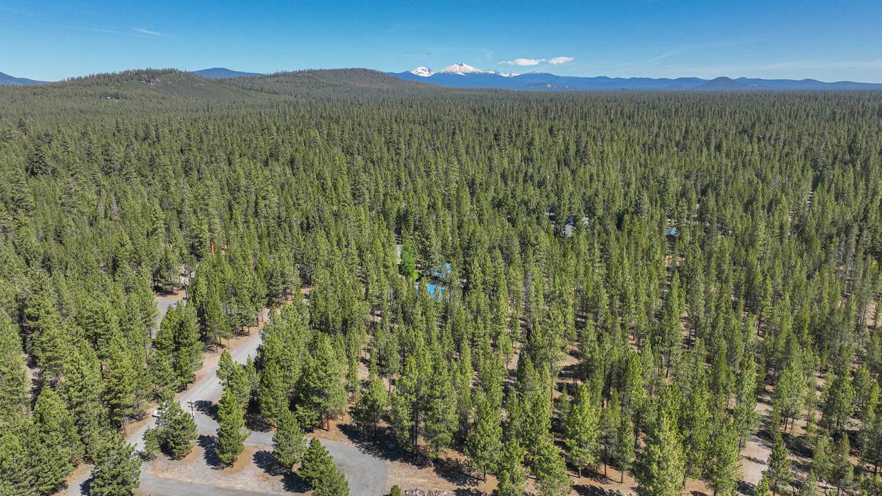 51860 Black Pine Way - Photo 1