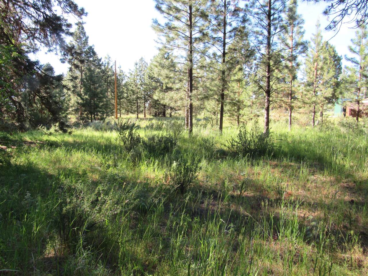 lot 2 Cayuse Circle - Photo 1