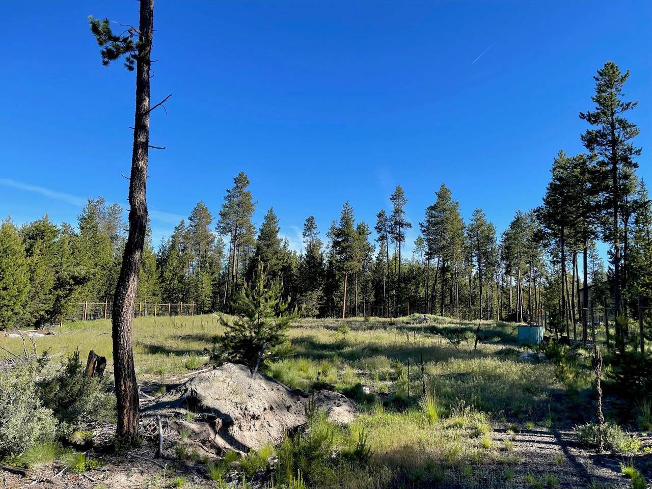 17110 Glendale Road - Photo 1