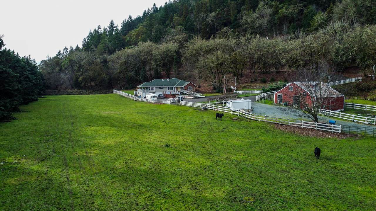 275 Weaver Road - Photo 1