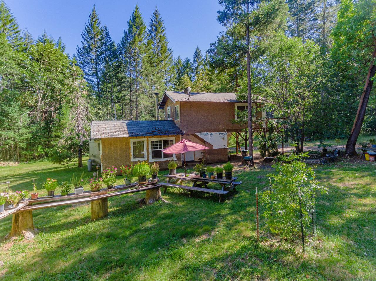 1584 Crooks Creek Road - Photo 1