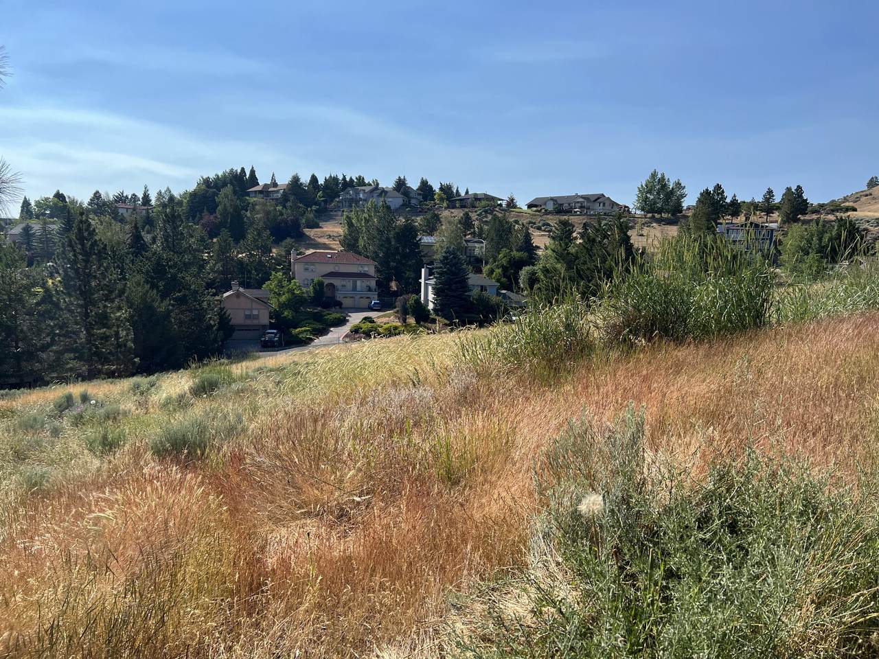 .71 acres Calhoun Street - Photo 1
