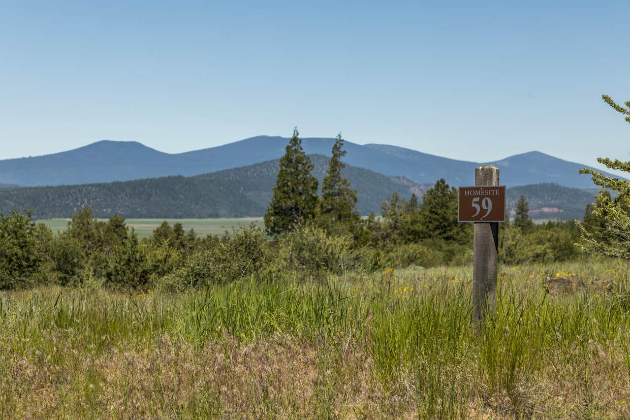 829 Abbott Mountain Way - Photo 1