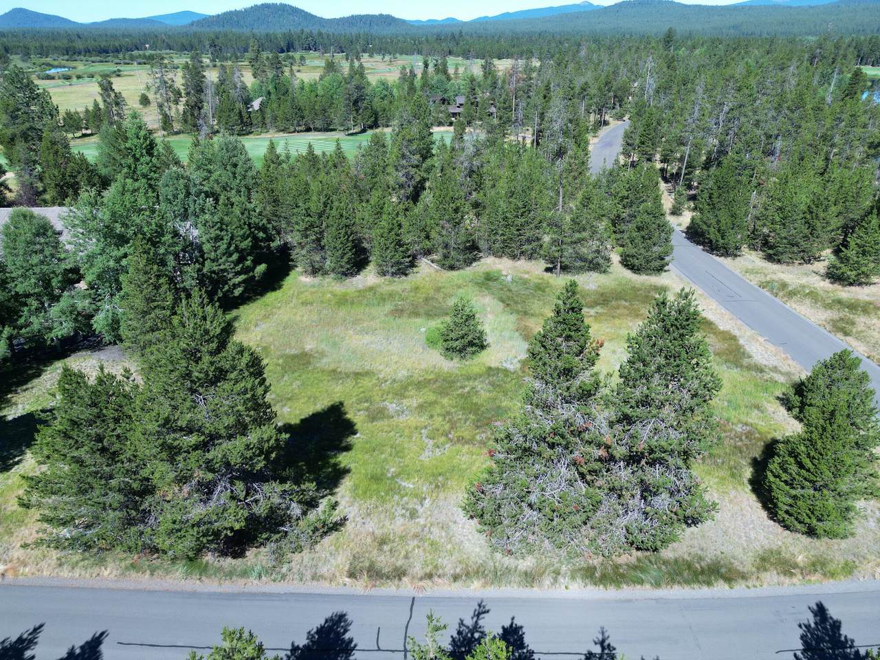 56645 Nest Pine Drive - Photo 1