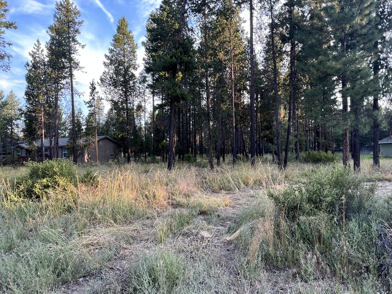 17216 Jacinto Road - Photo 1