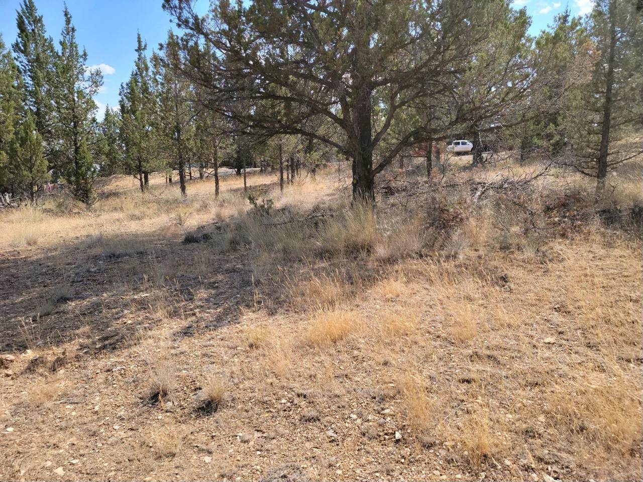 11592 Jordan Avenue - Photo 1
