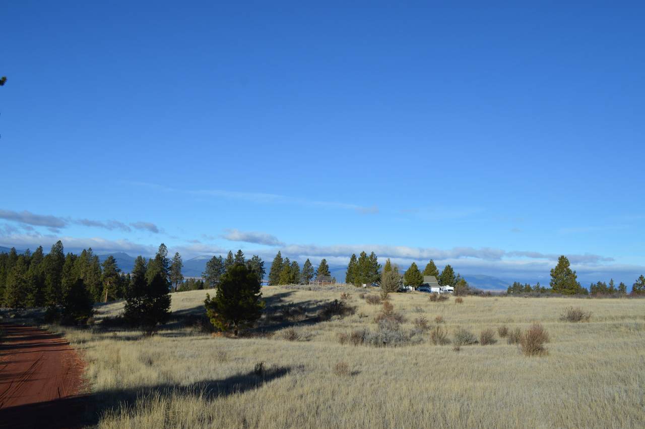 Maidu Court - Photo 1
