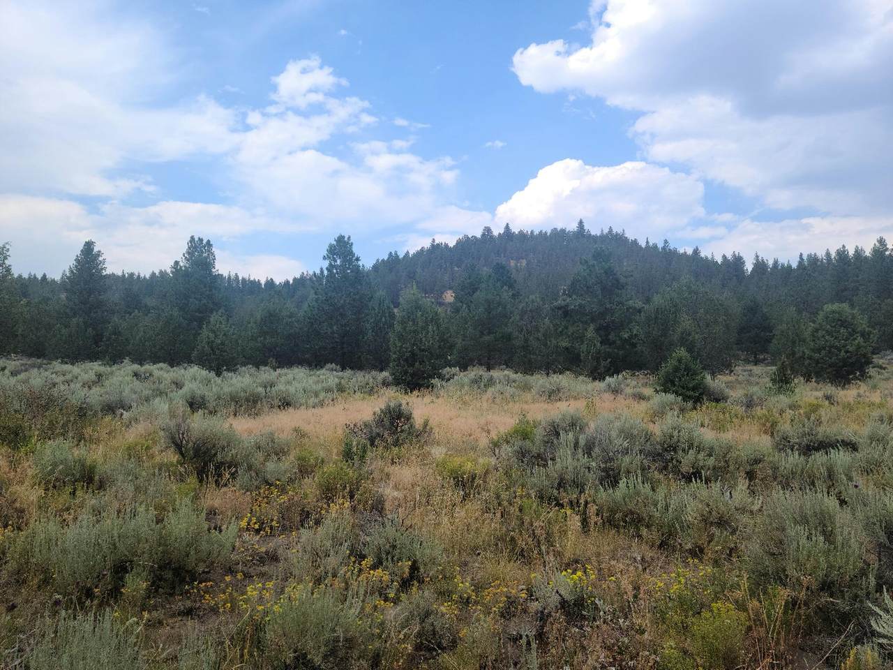 275473 Outside Sprague River - Photo 1