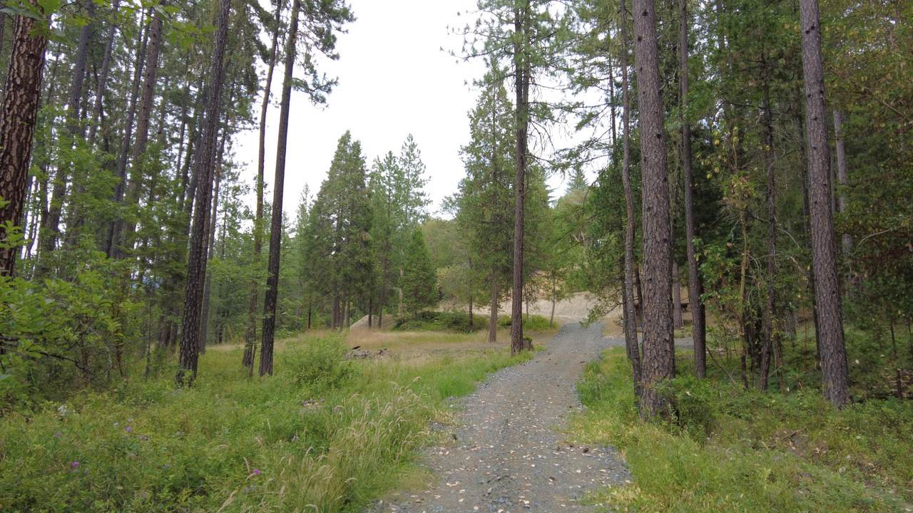 10100 Evans Creek Road - Photo 1
