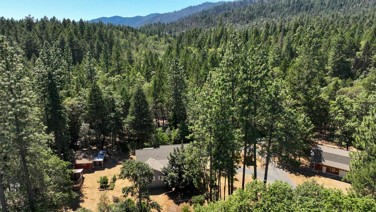 6104 Riverbanks Road - Photo 1