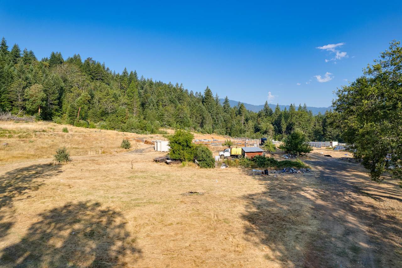 825 Onion Mountain Road - Photo 1