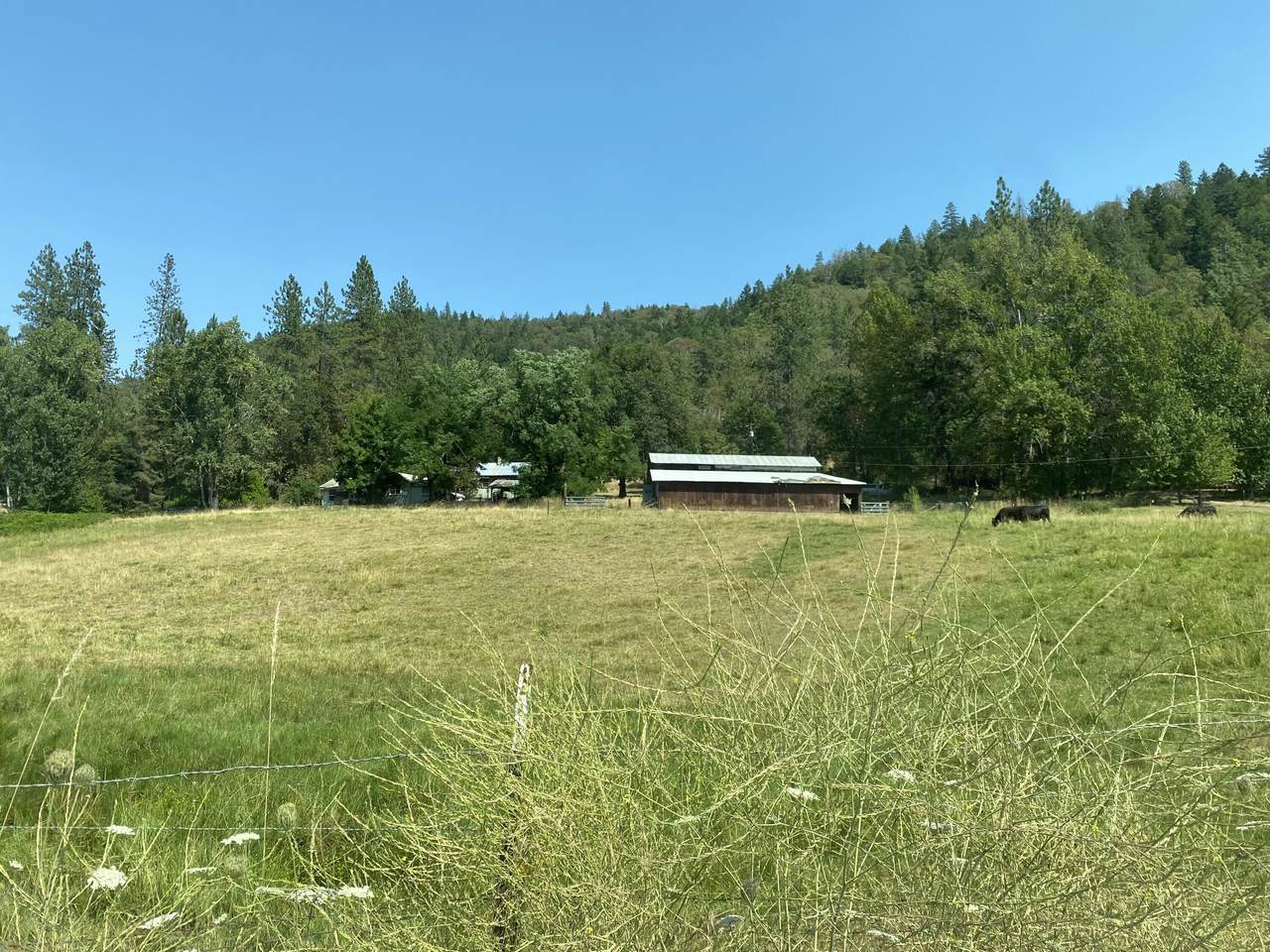 5895 Abbie Lane - Photo 1