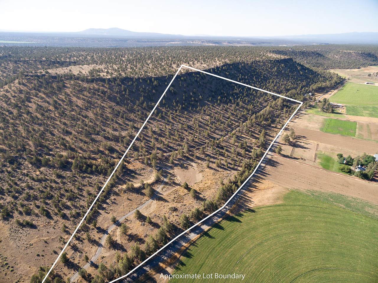 70420 Mckenzie Canyon Road - Photo 1
