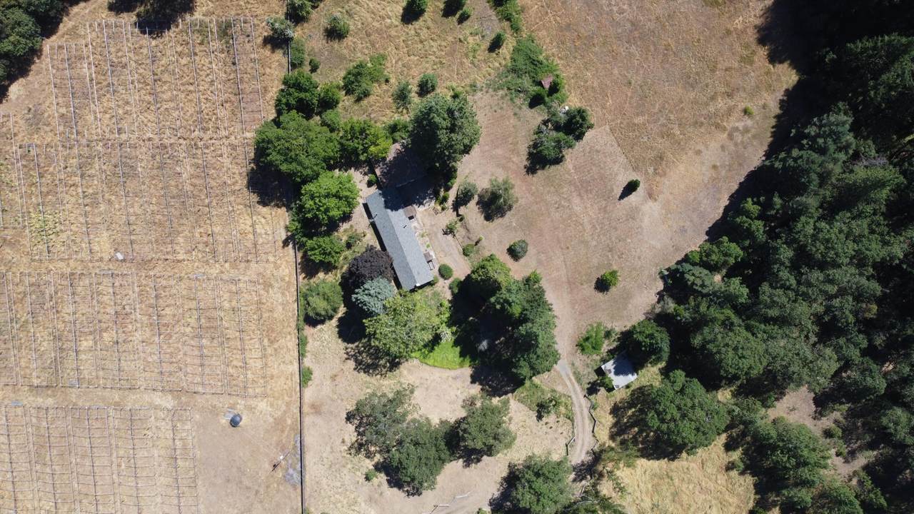1525 Grays Creek Road - Photo 1