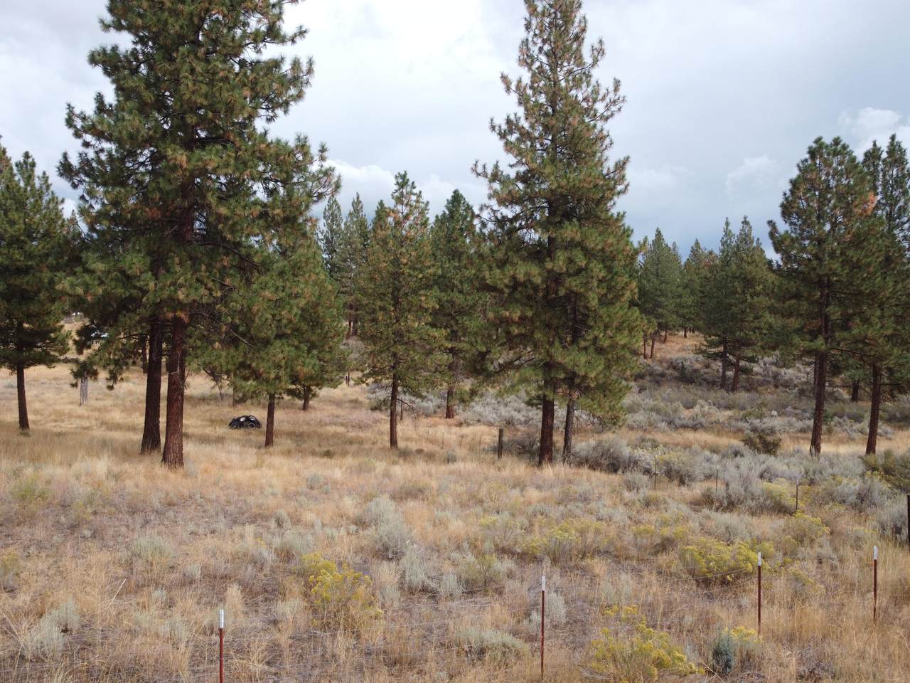 Copperfield Drive - Photo 1