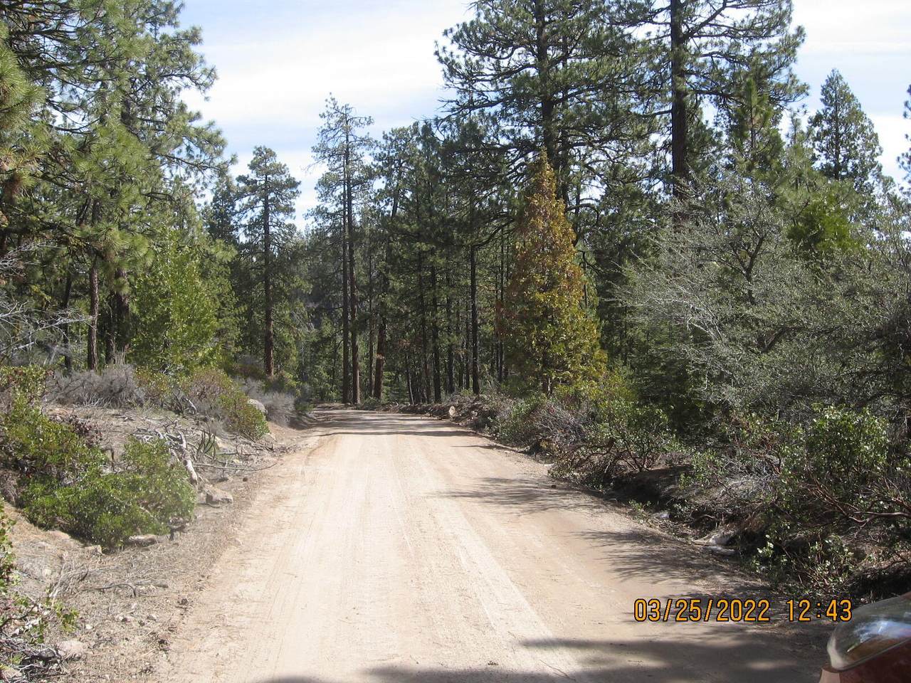 Lot 3 Night Owl Drive - Photo 1