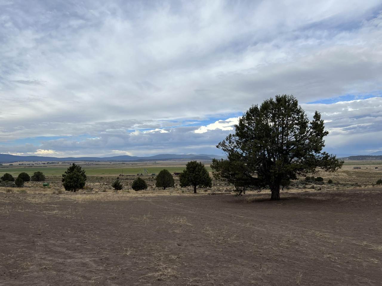 Lot 3 Medicine Mountain Drive - Photo 1