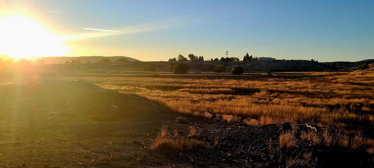 Lot 1 Adelaide Avenue - Photo 1
