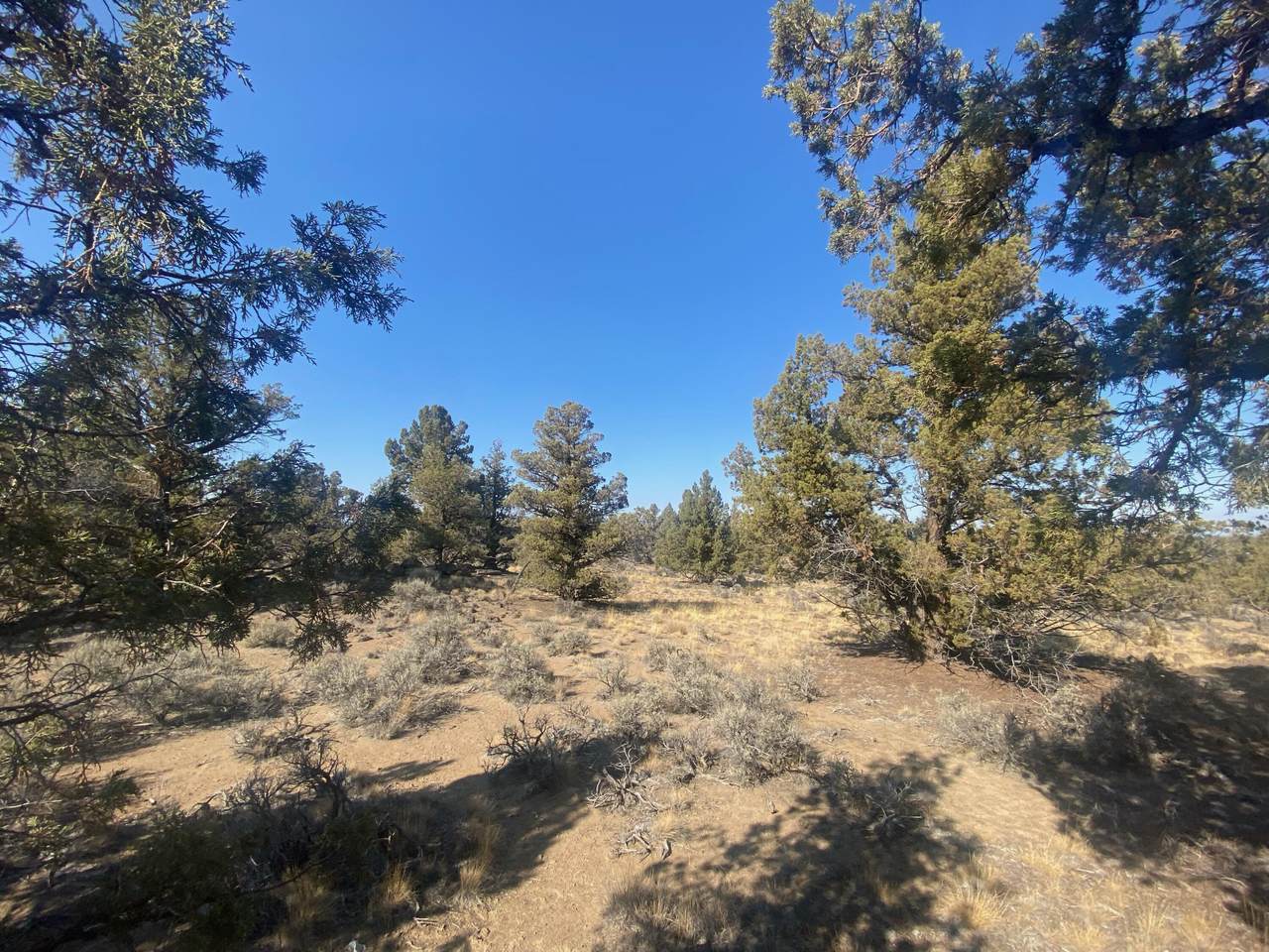 22820 Timland Lane - Photo 1