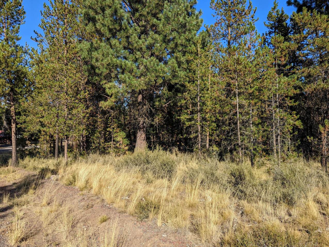 54680 Silver Fox Drive - Photo 1