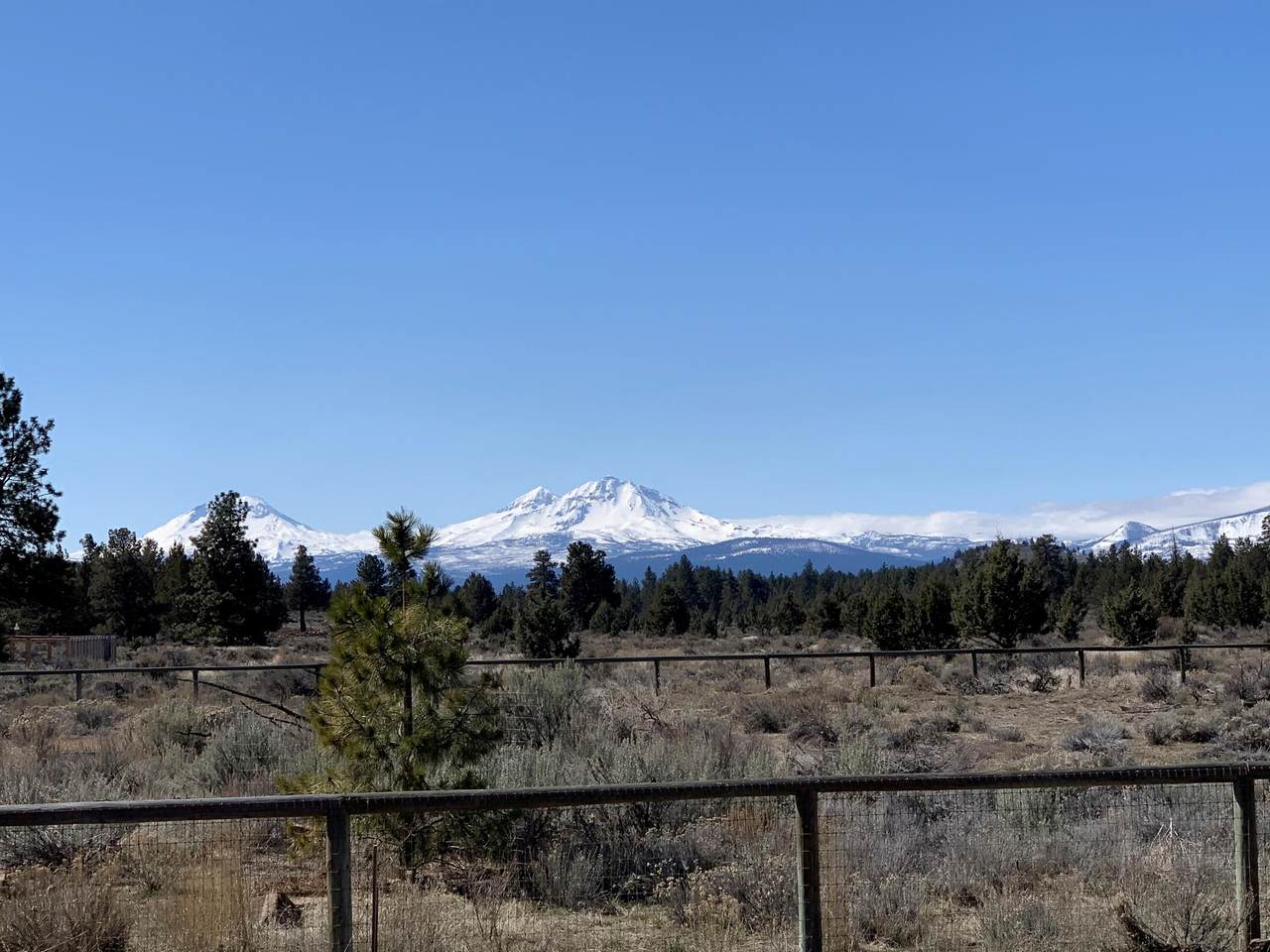17680 Mountain View Road - Photo 1