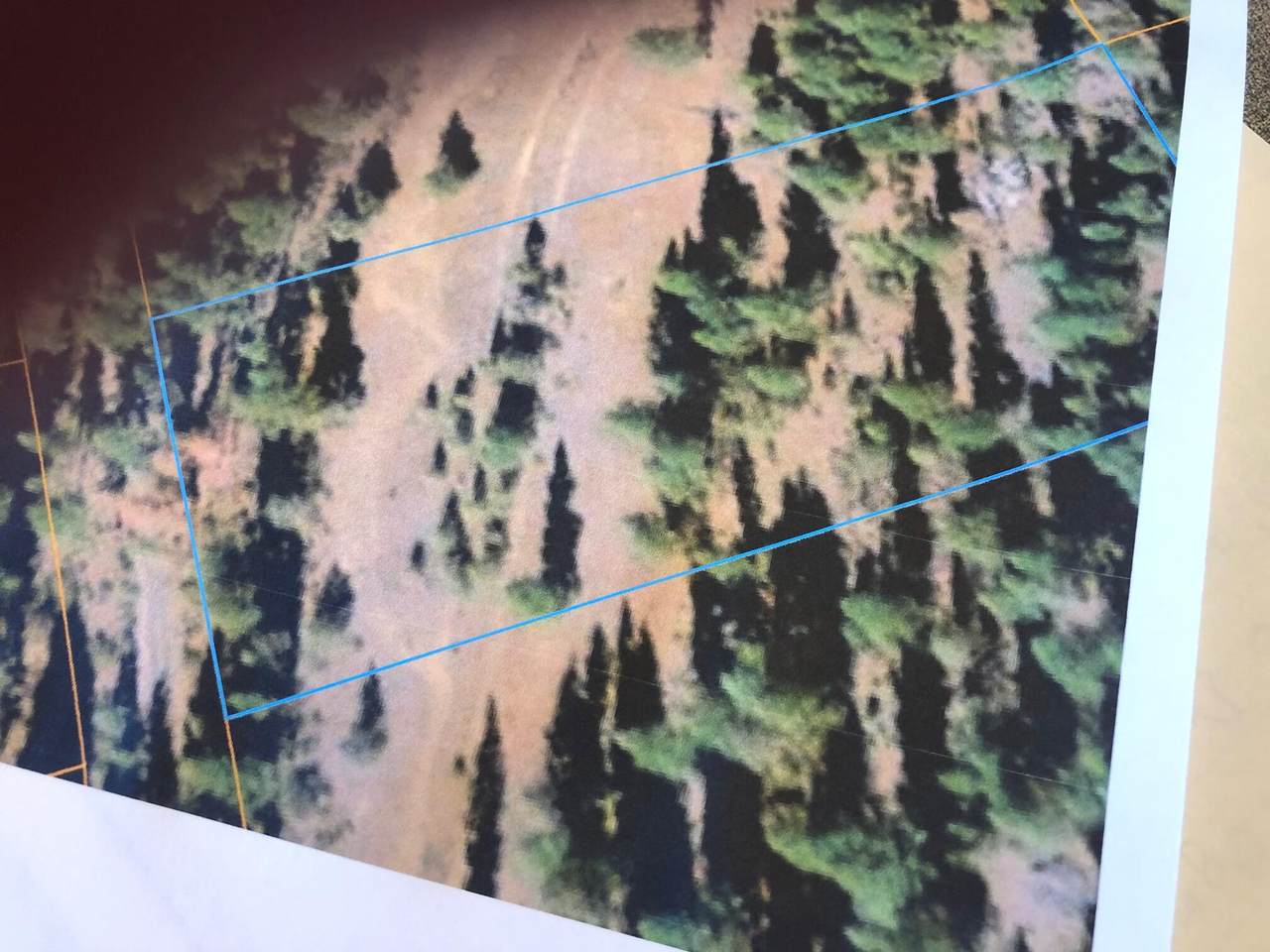 Lot 32 Cardinal Drive - Photo 1