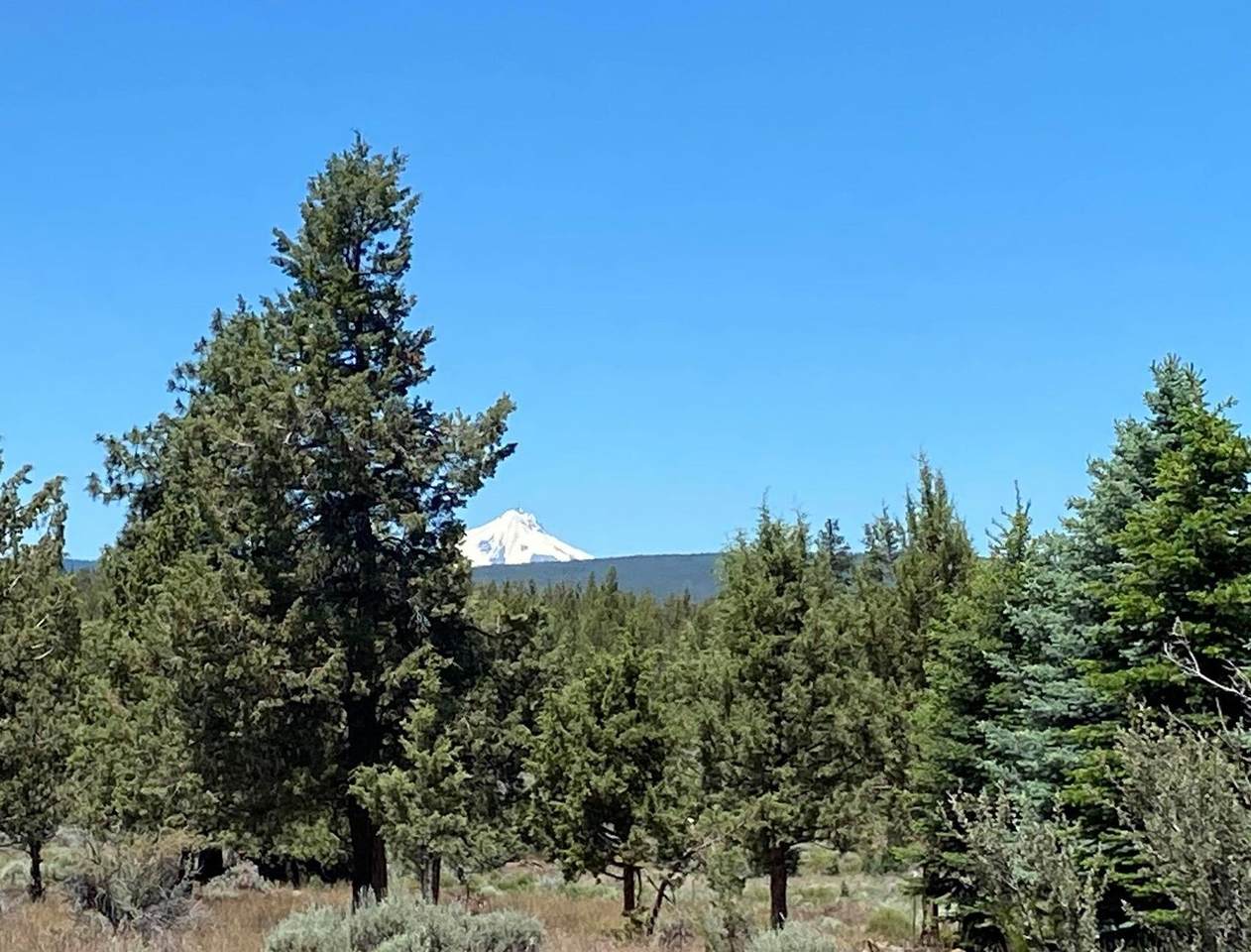17630 Mountain View Road - Photo 1