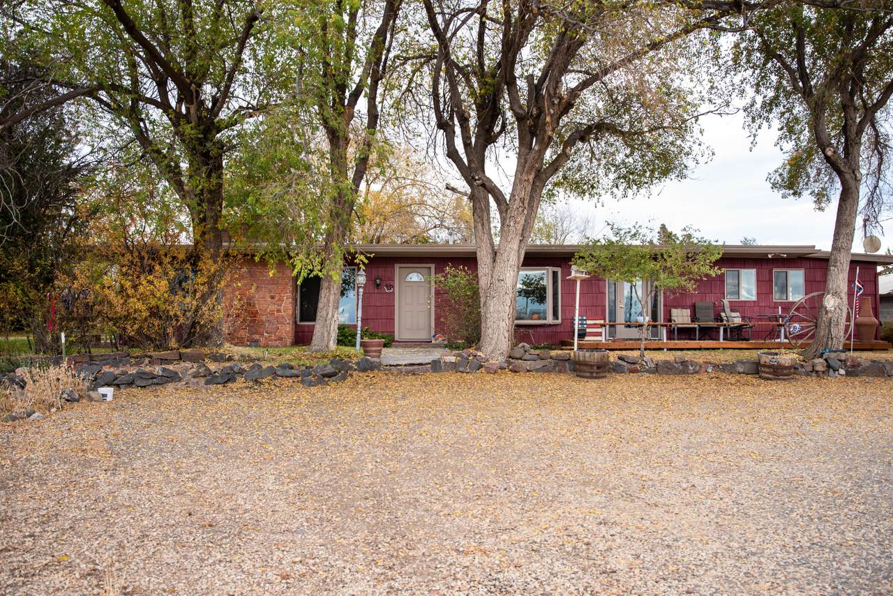 1641 Adams Drive - Photo 1