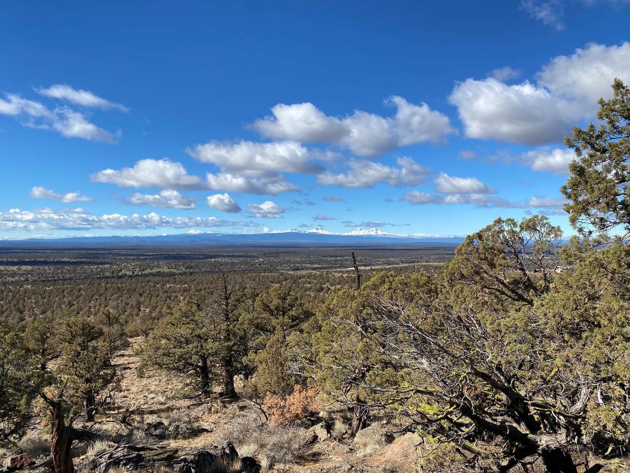 Lot 792 Seven Peaks Loop - Photo 1