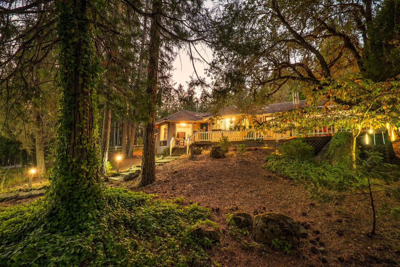 2782/2934 Jumpoff Joe Creek Road - Photo 1