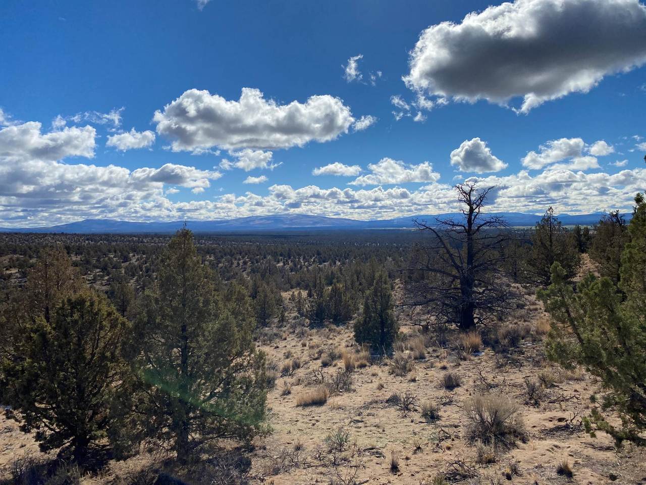 Lot 799 Seven Peaks Loop - Photo 1