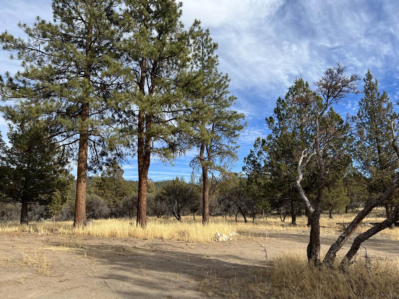 Lot 18 Thimbleberry Circle - Photo 1