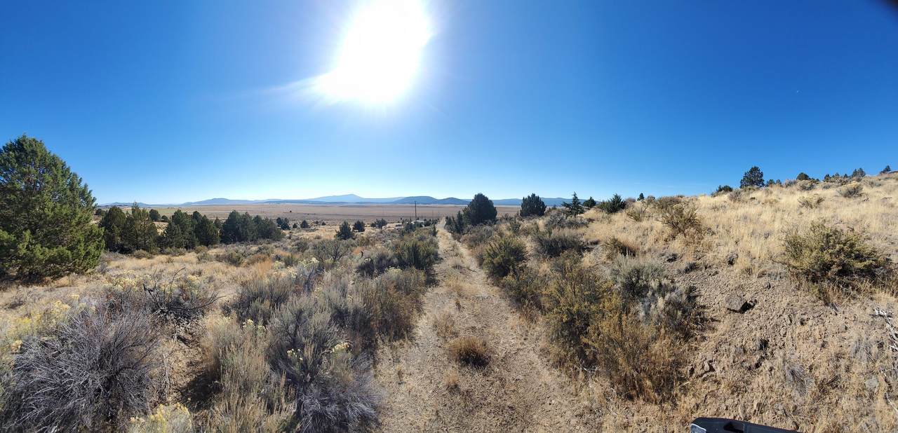Umatilla Street - Photo 1