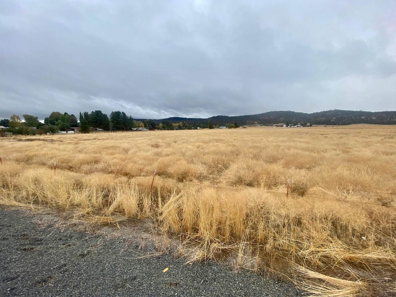 Orindale Road - Photo 1