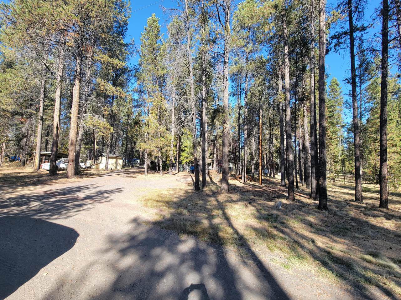 17240 Beverly Lane - Photo 1