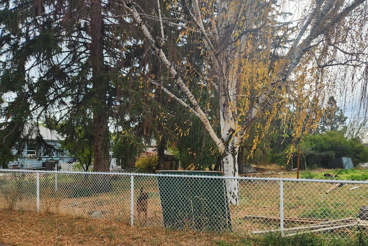 0000 3rd Street - Photo 1