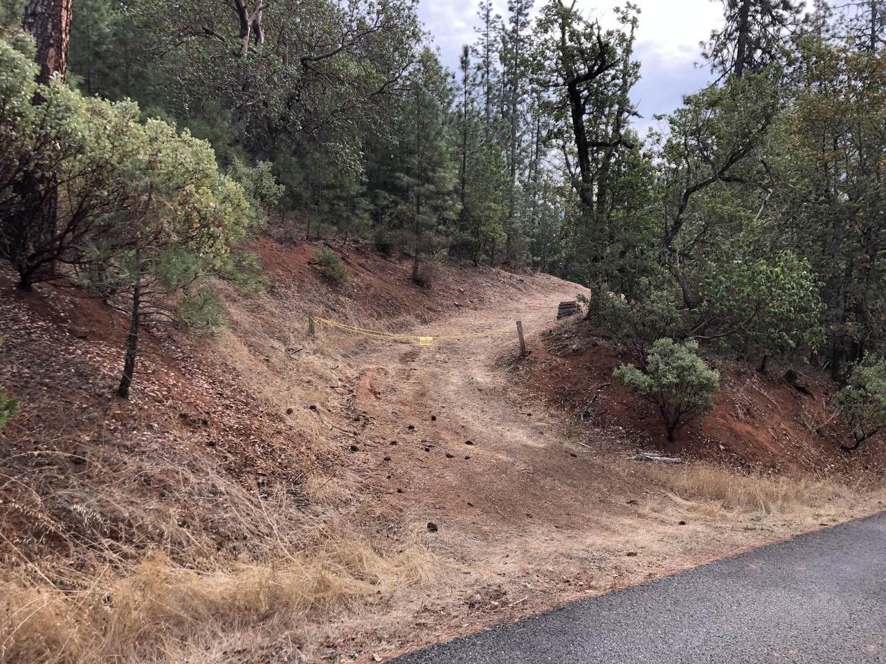 Jump Off Joe Creek Road - Photo 1