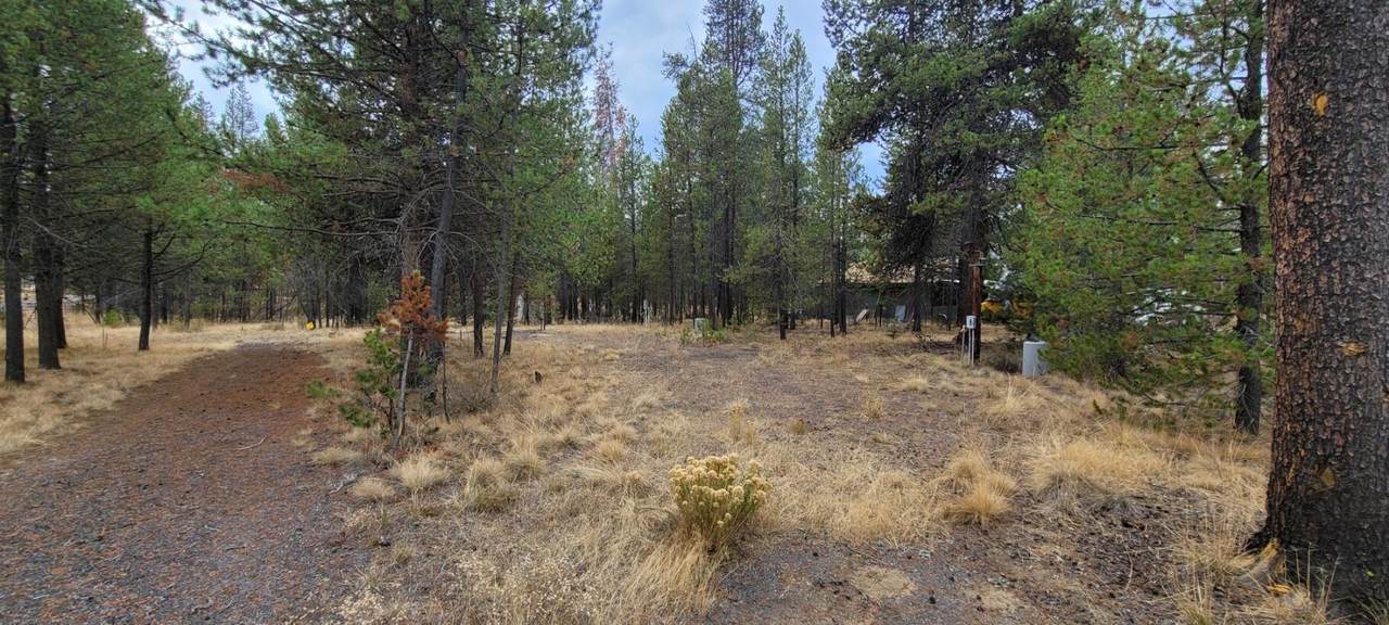 16911 Cagle Road - Photo 1