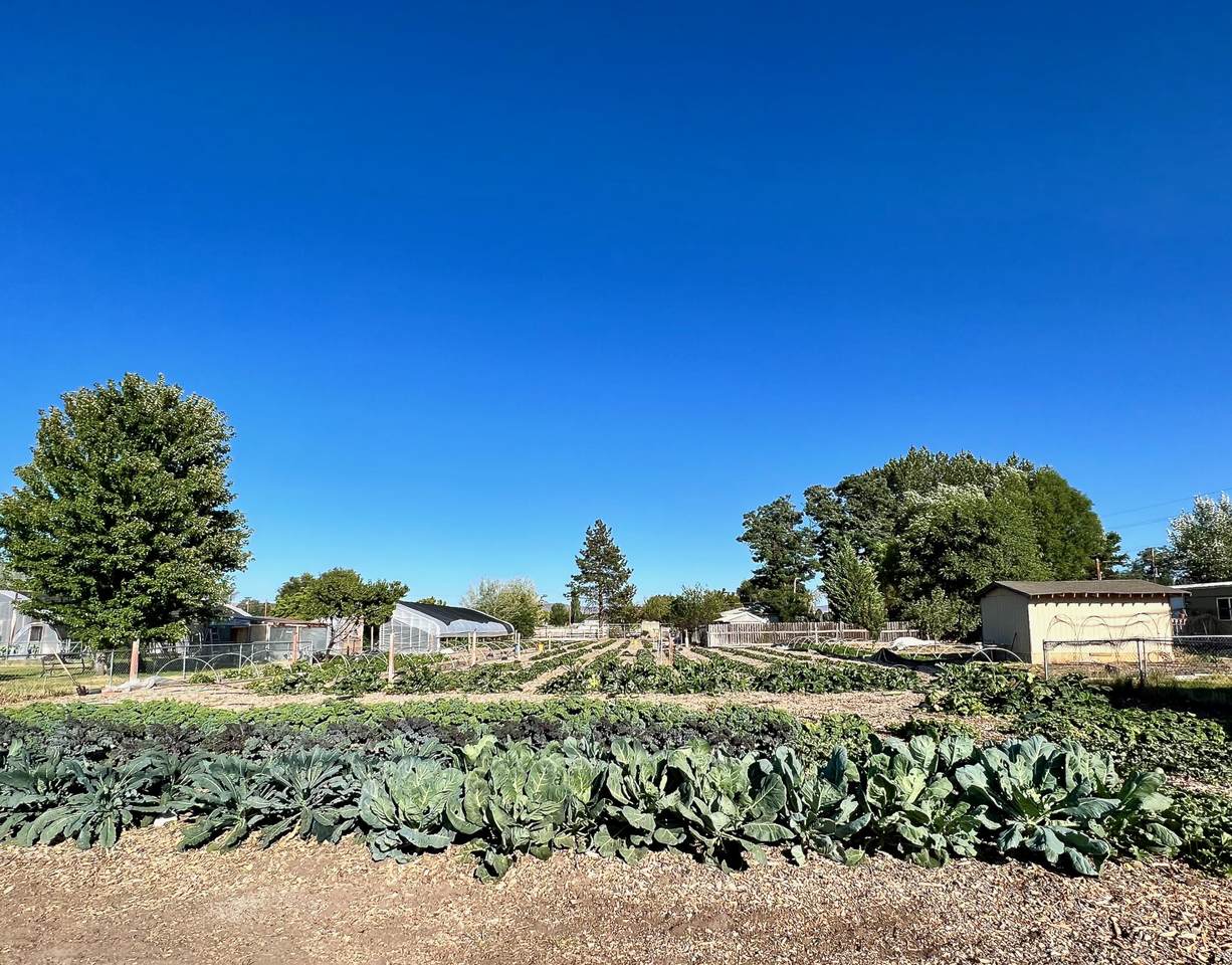 4825 Altamont Drive - Photo 1
