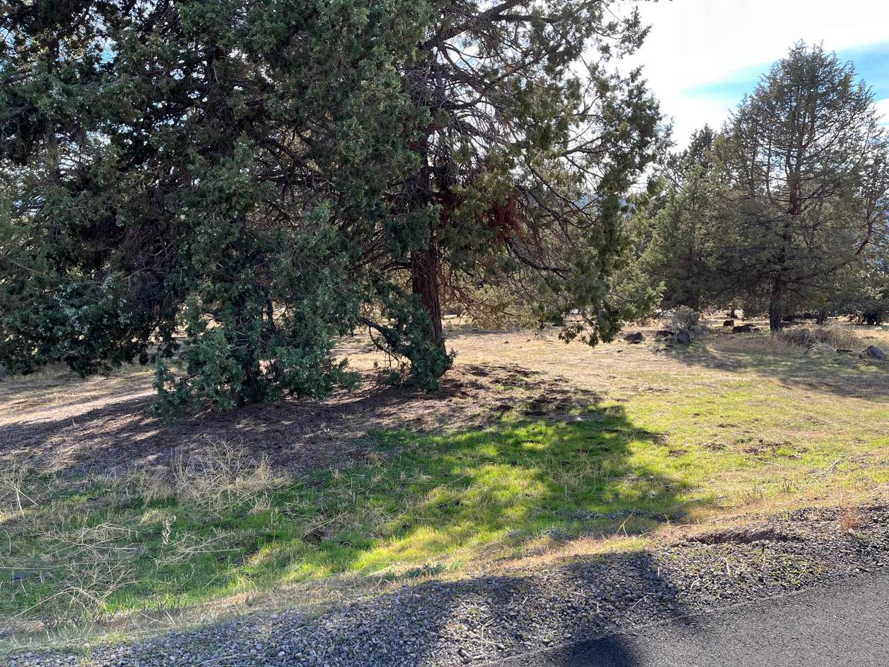 1030 Turnstone Drive - Photo 1