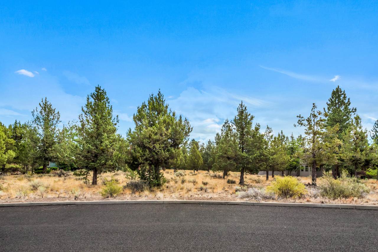3050 Duffy Drive - Photo 1