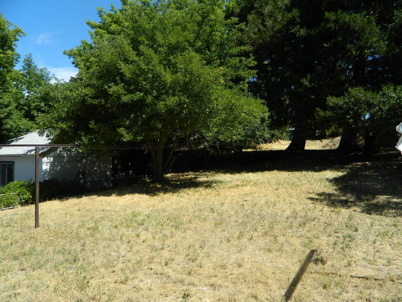 1225 Front Street - Photo 1