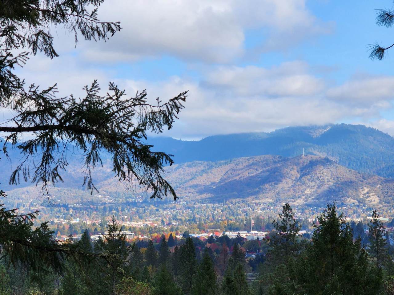 538 View Top Drive - Photo 1
