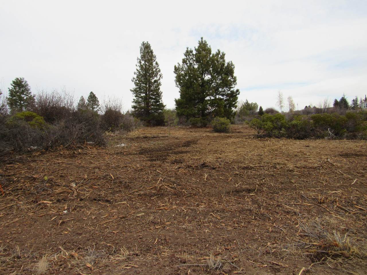 Sportsland Drive - Photo 1